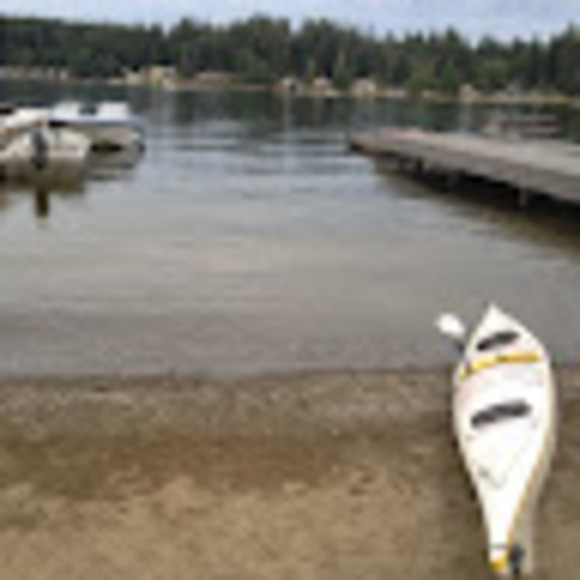 Meet your Posher, Ann - Picture 1 of 1